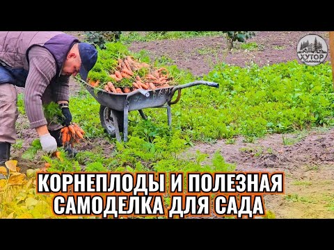 Видео: ХУТОРСКАЯ ТИШИНА, КОРНЕПЛОДЫ И ПОЛЕЗНАЯ САМОДЕЛКА: КАК  ПЕРЕСАДИТЬ ДЕРЕВЬЯ С КОМОМ ЗЕМЛИ ЛЕГКО.
