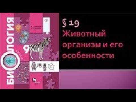 Видео: Биология 9 класс. Животный организм и его особенности