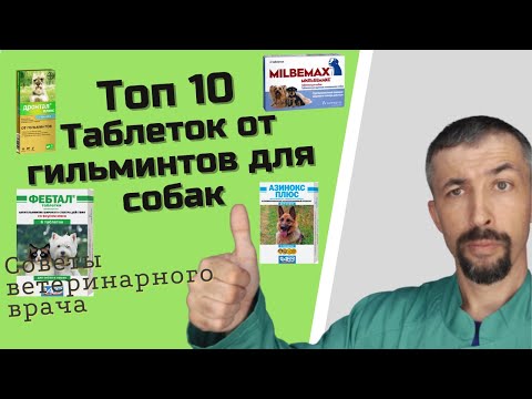Видео: Таблетки от глистов для собак