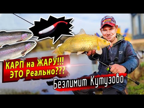 Видео: Безлимит Кутузово | Jara baits  Boxter ловит все | Начало осеннего сезона ловли форели