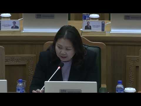 Видео: НИТХ-ын төлөөлөгч санал Л.Ариунтуяа