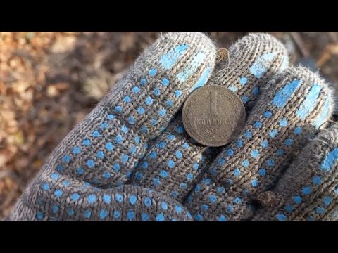 Видео: День советов 2.0