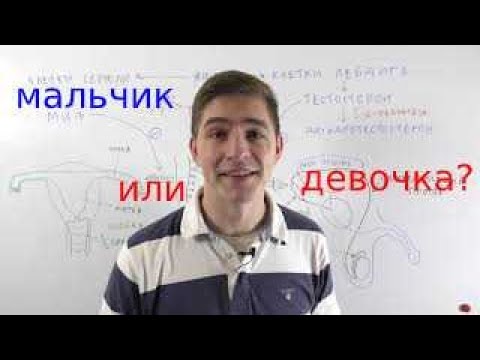 Видео: Почему ты мужчина/женщина? (развитие пола у человека)