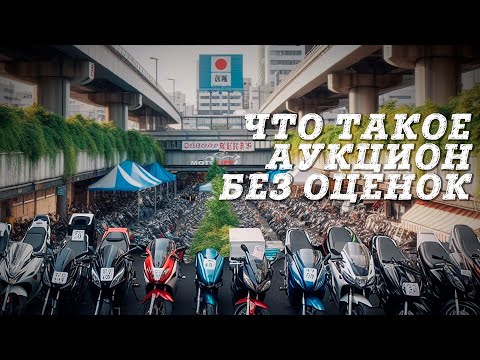 Видео: Что такое аукцион без оценок | Мотоциклы с аукциона| Motolife
