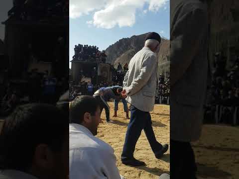 Видео: гуштини такоб носир полвон