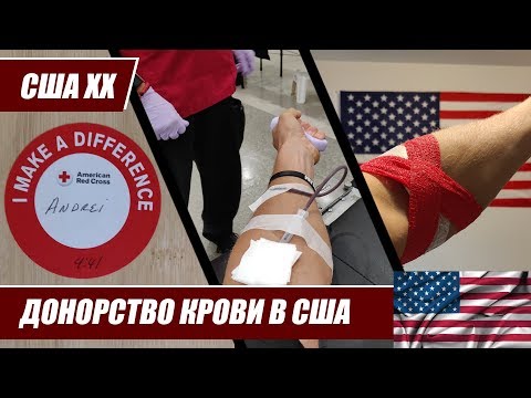 Видео: Как устроено донорство крови в США (Красный крест)