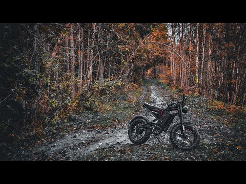 Видео: Вездеход в лесу