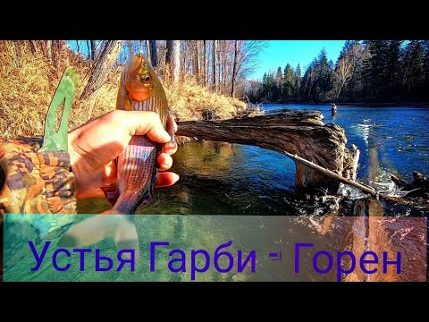 Видео: Горная рыбалка, Осенний движ 🎣🎣🎣хариус, ленок 🤗😎