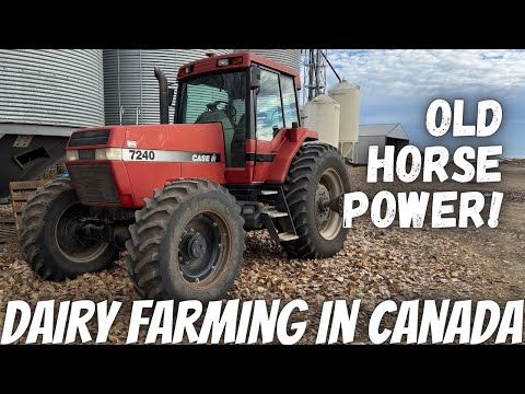 Видео: Мы купили еще один трактор!!