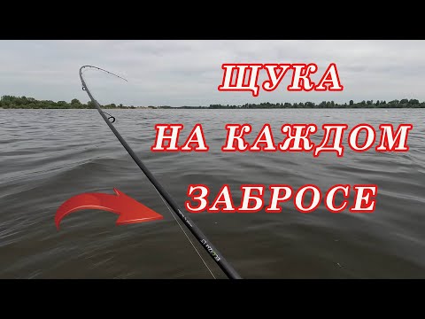 Видео: Рыбалка с берега на щуку! Вам не нужна Лодка! Щуки клюют с БЕРЕГА на Спиннинг!