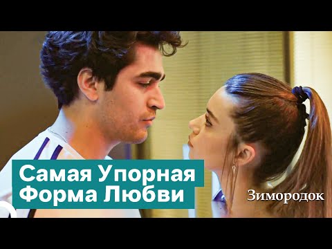 Видео: Даже Если Я Ненавижу, Я Не Могу Удалиться От Тебя | Зимородок
