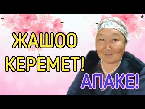 Видео: МЕН АПАМ БАР ҮЧҮН БАКТЫЛУУМУН!