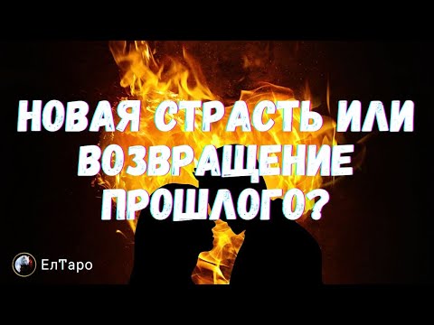 Видео: ♥️ТАРО ДЛЯ МУЖЧИН.♥️Ваша личная жизнь на ближайшее время♥️ТАРО ДЛЯ МУЖЧИН.♥️