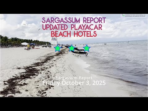 Видео: Обновление отчёта о саргассумах для Плайякара в Плайя-дель-Кармен: всё уже не так хорошо:( 3 октября
