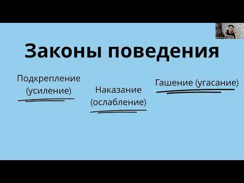 Видео: МРАКОБЕСИЕ ВОКРУГ АВА