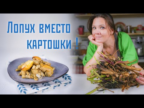 Видео: Картошку можно больше не сажать: копаю и готовлю корень лопуха