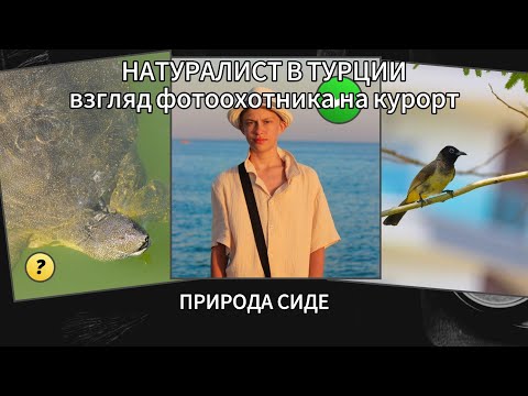 Видео: НАТУРАЛИСТ В ТУРЦИИ. ПРИРОДА СИДЕ. 2024.