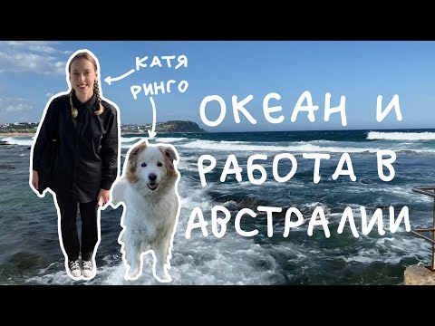 Видео: прогулка по океану и новая работа в Австралии // катя с луны? #австралия
