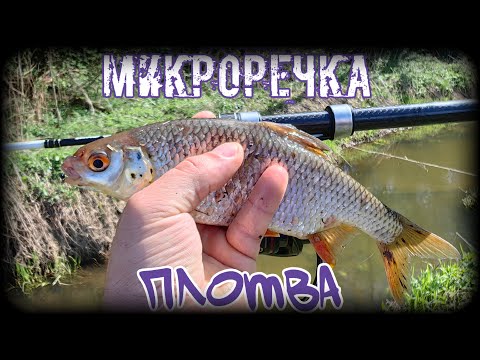 Видео: Наноджиг. Плотва сказочной миниречки