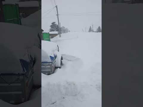 Видео: снег, метель, сугробы, завалило снегом. зима так зима