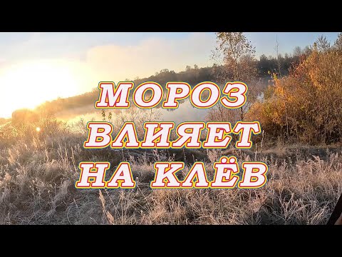 Видео: Мороз влияет на клёв! Высокое давление на большую рыбу!