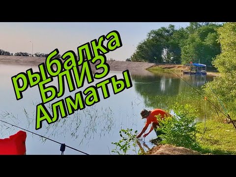 Видео: Рыбалка БЛИЗ АЛМАТЫ, ТИШИНА, ШТИЛЬ, разведка новых мест