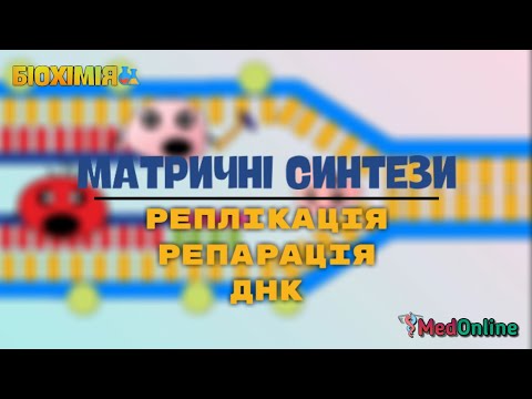 Видео: Матричні Синтези | Реплікація та Репарація ДНК