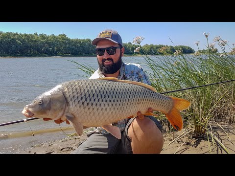 Видео: ТРОФЕЙНЫЙ САЗАН на FLAT METHOD!!! Леонидыч на рыбалке.