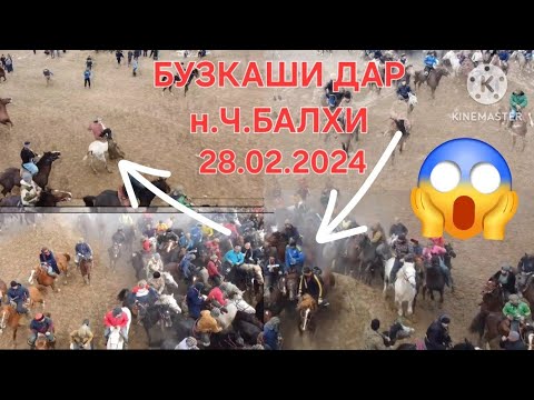 Видео: БУЗКАШИ ДАР Н.Ч.БАЛХИ 28.02.2024 #laqaynews #subscribe #таджикистан #бузкаши #улок #кокбору