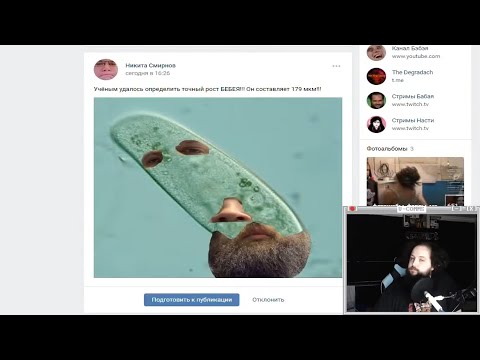 Видео: Вам правда смешно с этих фотожаб?