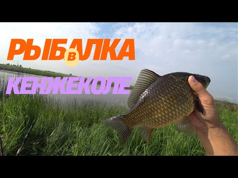 Видео: Рыбалка в Кенжеколе наловили Карасей