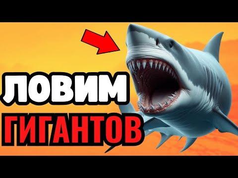 Видео: 🔴 РР4 СТРИМ🎁РУЛЕТКИ КАЖДЫЕ 20 МИНУТ🤯РЕКОРДНЫЙ ФАРМ🔥