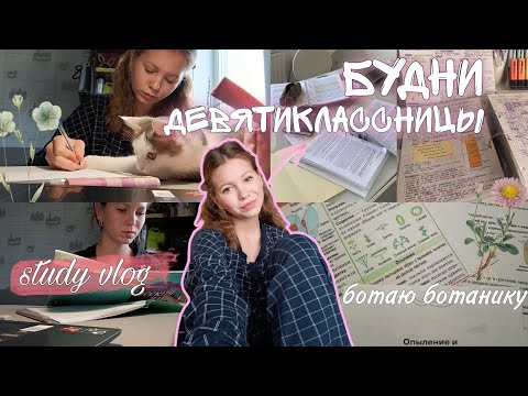 Видео: БУДНИ ДЕВЯТИКЛАССНИЦЫ/study vlog #vlog #stadywithme #учеба