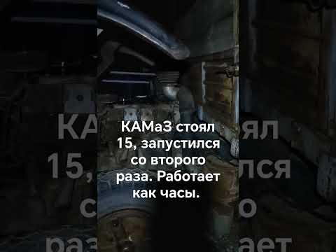 Видео: КАМаЗ 5320, простоял 15 лет под забором. Запуск Камаза.