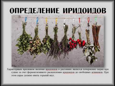 Видео: Сапонины