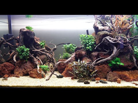 Видео: Медленный травник. Радужные бычки