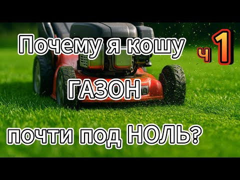 Видео: Косим низко — секрет плотного и густого газона. Часть 1.  #газон #уходзагазоном #газонокосилка