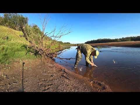 Видео: РЫБАЛКА В РУЧЬЕ.  Щука и окуни на каждый заброс. Готовим улов на костре!!!