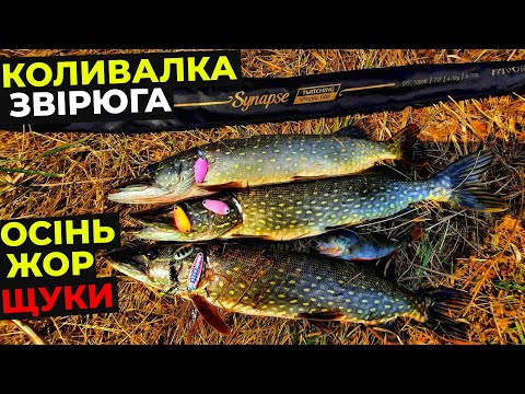 Видео: ⚠️БЛЕШНЯ ЗВІРЮГА!!!😱 ОСІННЯ ЩУКА РОЗРИВА!!! 🆘️ Щука БЕРЕ Щуку ЯКА ВЖЕ НА КРЮЧКУ!😱 Щука КАНІБАЛ!😱