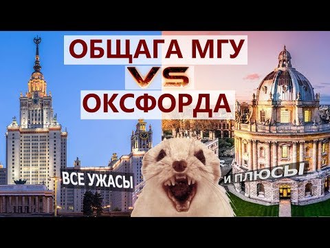 Видео: Общежитие МГУ vs Общежитие ОКСФОРДА. Вся правда - общага МГУ