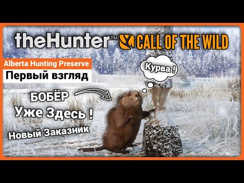 Видео: Alberta Hunting Preserve - Первый Взгляд - theHunter: Call of the Wild