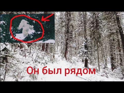 Видео: Охота на снежного человека
