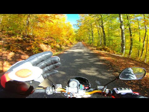 Видео: Есенно с мотора