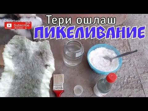 Видео: Тери ошлаш. Пикеливания