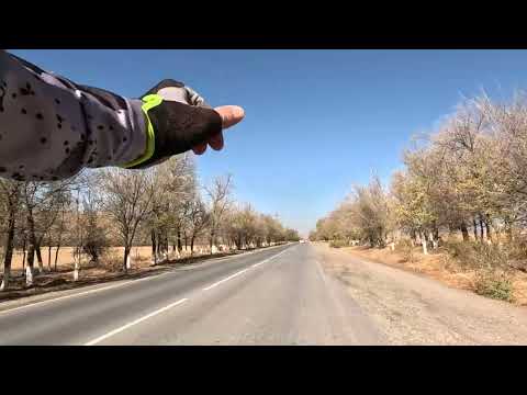 Видео: САС - ТЮБЕ 2025