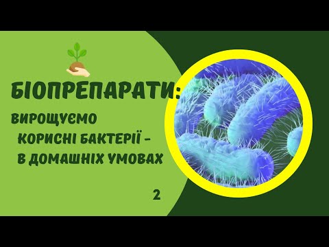 Видео: Як виготовити біопрепарати для захисту рослин в домашніх умовах.