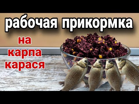 Видео: ЛУЧШАЯ ЛЕТНЯЯ ПРИКОРМКА для ловли карася и карпа!!! Дешевый рецепт