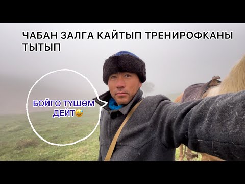 Видео: Туманда Чабан жашоо