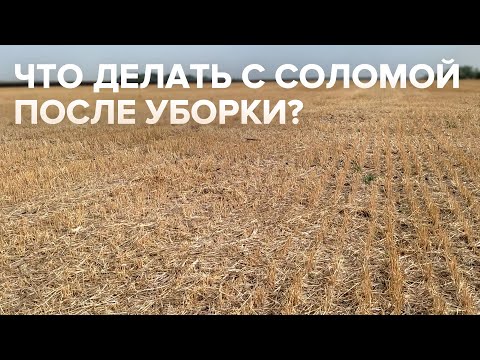 Видео: Что делать с соломой после уборки?