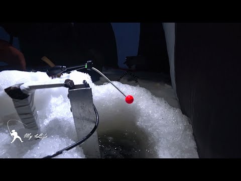 Видео: Самая простая и уловистая снасть на КОРЮШКУ. Монтаж за 10 минут))